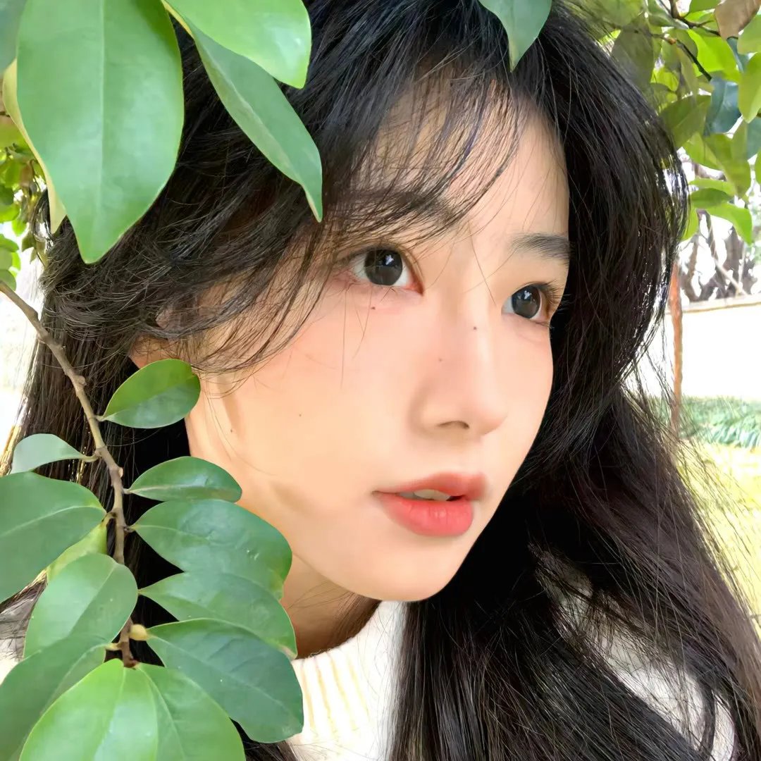 总统